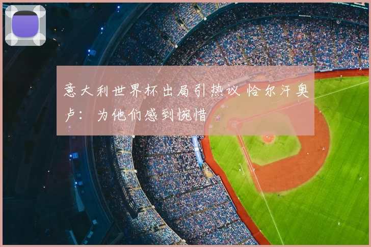 意大利世界杯出局引热议 恰尔汗奥卢：为他们感到惋惜
