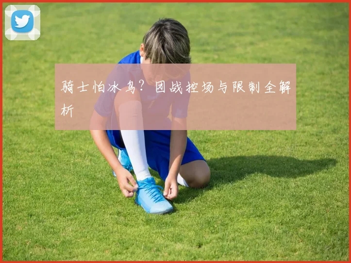 骑士怕冰鸟？团战控场与限制全解析
